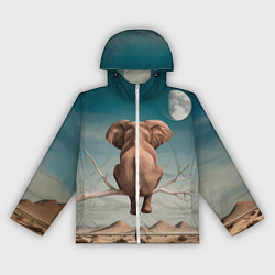 Ветровка с капюшоном женская Задумчивый слон: пустыня, цвет: 3D-белый