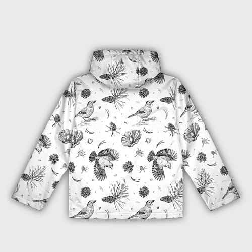 Женская ветровка Сойка в Бузулукском бору / 3D-Белый – фото 2