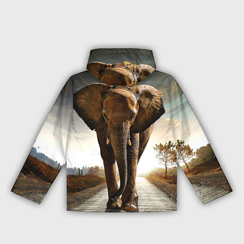 Женская ветровка Дикий слон / 3D-Белый – фото 2